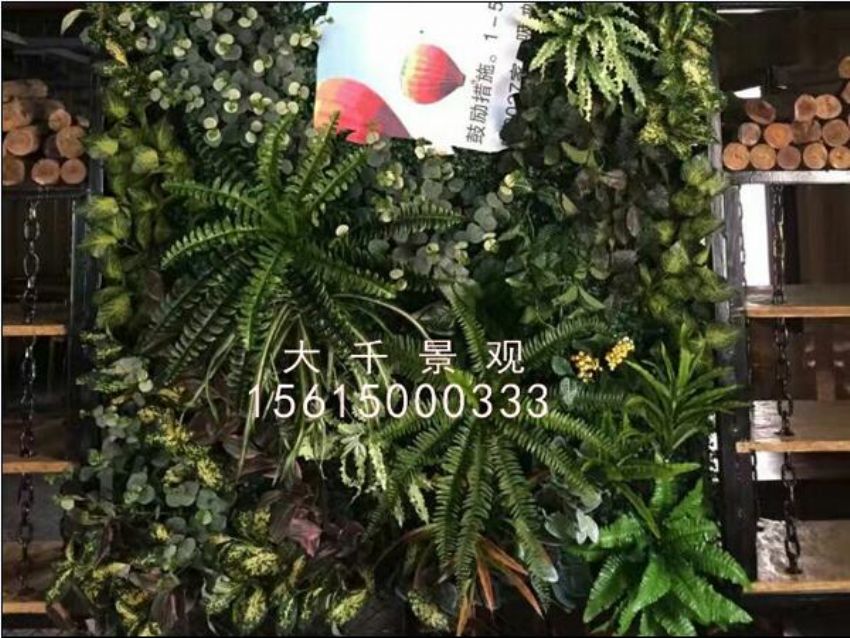 點擊查看詳細信息<br>標題：綠植墻 閱讀次數：1117